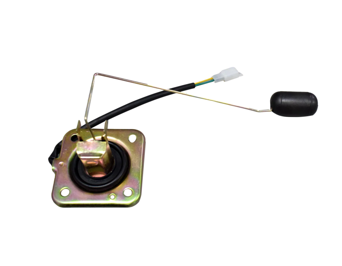 Miniatura 1